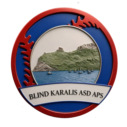 Blind Karalis Baseball per Ciechi